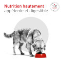 Dog Glycobalance