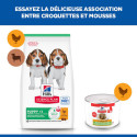 Chien Puppy & Mother Mousse Poulet Boîte