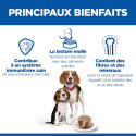 Chien Puppy & Mother Mousse Poulet Boîte