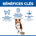 Chien Mature Adult 7 Boeuf Boîte