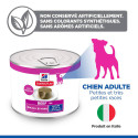 Chien Mature Adult 7 Small & Mini Boeuf Boîte