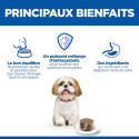 Chien Mature Adult 7 Small & Mini Boeuf Boîte