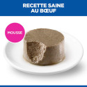 Chien Mature Adult 7 Small & Mini Boeuf Boîte