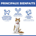 Chat Adult Sterilised Cat Saumon