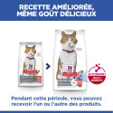 Chat Adult Sterilised Cat Saumon