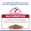 Chat Adult Sterilised Cat Saumon