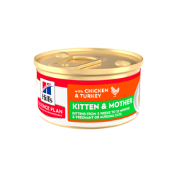 Chat Kitten and Mother Mousse Poulet & Dinde Boîte