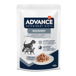 ADVANCE VET CT CN RECOVERY 11 SCHT 100G
