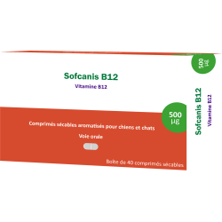 MOUREAU Sofcanis B12