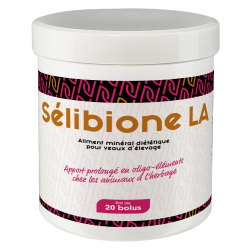 Selibione LA