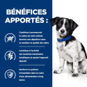 Chien id Digestive Stress Mini Mijotés Poulet & Légum.Boîte