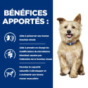 Chien kd Kidney Poulet Boîte