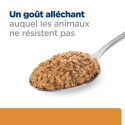 Chien kd Kidney Poulet Boîte