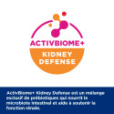 Chat kd Kidney Saumon