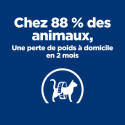 Chat Metabolic Saumon