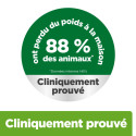 Chat Metabolic Saumon