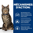 Chat Metabolic Saumon
