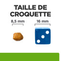 Chat Metabolic Saumon