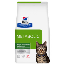 Chat Metabolic Saumon