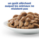 Vet Essentials Chat MultiBenefit Adult Poulet Sa. Pack m.