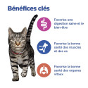 Vet Essentials Chat MultiBenefit Adult Poulet Sa. Pack m.