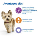 Vet Essentials Chien MultiBenefit  Senior Health S&M Poul.