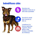 VETESS CN ADULT POULET      12 BT 363 G