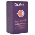 Dr Vet Lintum Blépharitis