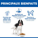 HILL'S Science Plan Adult croquettes pour chien au poulet