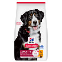 HILL'S Science Plan Adult croquettes pour grand chien au poulet