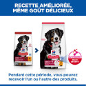 HILL'S Science Plan Adult croquettes pour grand chien au poulet