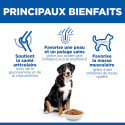 HILL'S Science Plan Adult croquettes pour grand chien au poulet