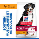 HILL'S Science Plan Adult croquettes pour grand chien au poulet