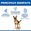 HILL'S Science Plan Mature Adult croquettes pour grand chien âgé au poulet