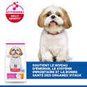 HILL'S Science Plan Mature Adult Small & Mini croquettes pour petit chien âgé au poulet