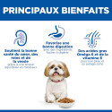 HILL'S Science Plan Mature Adult Small & Mini croquettes pour petit chien âgé au poulet