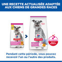 HILL'S Science Plan Mature Adult Light Small & Mini croquettes pour petit chien âgé au poulet