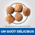 HILL'S Science Plan Adult Healthy Mobility croquettes pour grand chien au poulet