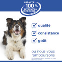 HILL'S Science Plan Adult Performance croquettes pour chien au poulet
