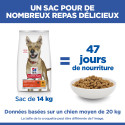 HILL'S Science Plan Adult Performance croquettes pour chien au poulet