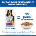 HILL'S Science Plan Adult Sensitive Stomach & Skin croquettes pour chien au poulet