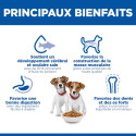 HILL'S Science Plan Puppy Small & Mini croquettes pour chiot de petite taille au poulet