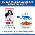 HILL'S Science Plan Adult croquettes pour chien à l'agneau et riz