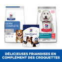 Chien Adult Hypoallergenic AB  Treats