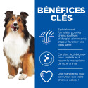 Chien Adult Hypoallergenic AB  Treats