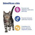 Vet Essentials Chat MultiBenefit Adult 1 Poulet