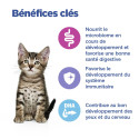 Vet Essentials Chat MultiBenefit Kitten Poulet