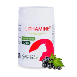 GREENVET Lithamine Chat