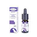 CBD Vet 5