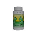 GREENVET Shampoing sec pour chien et chat